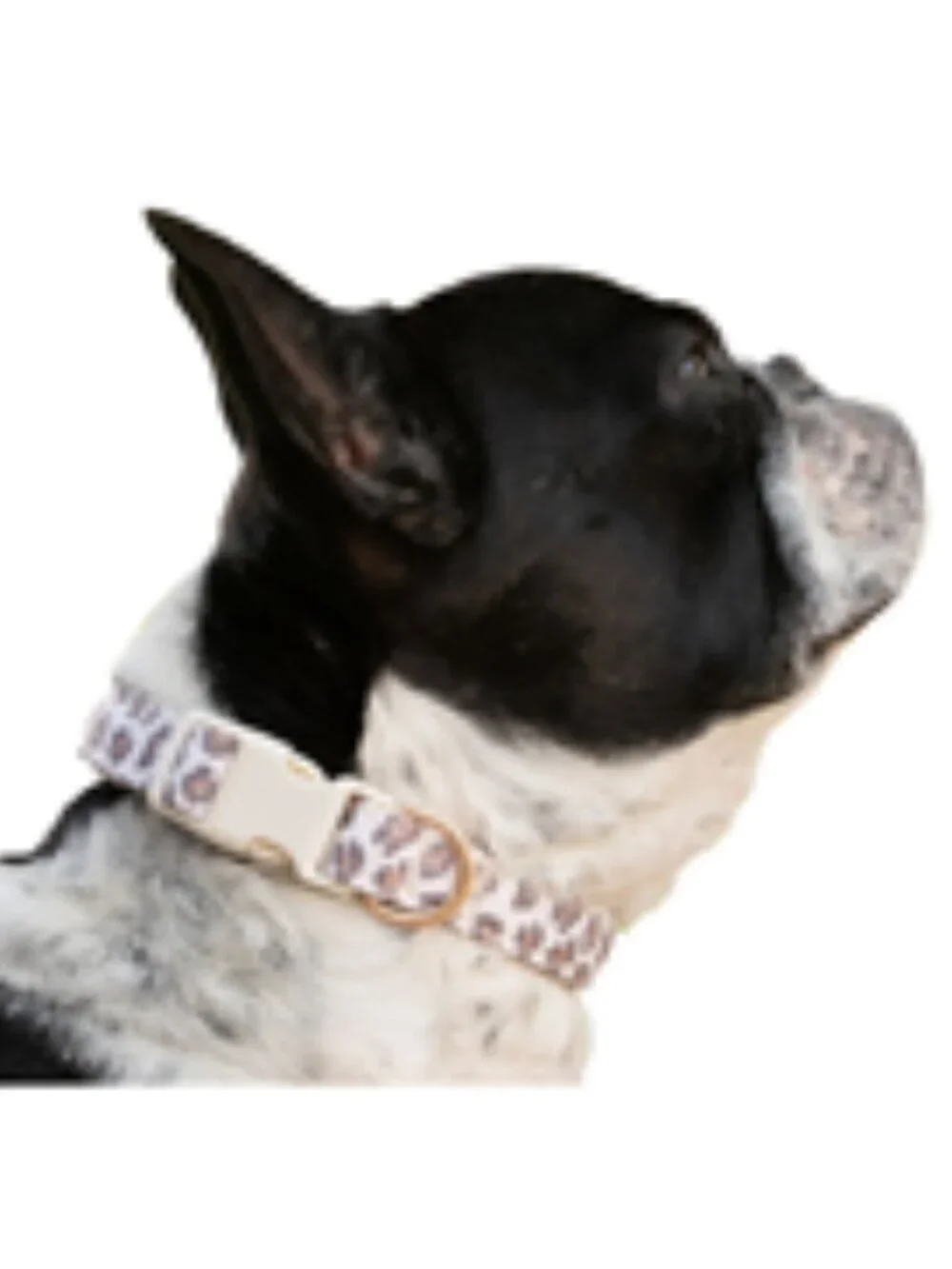 NWT~ SportPet Living Leopard Print Pet Collar; Size: Large, Neck Size 16.5